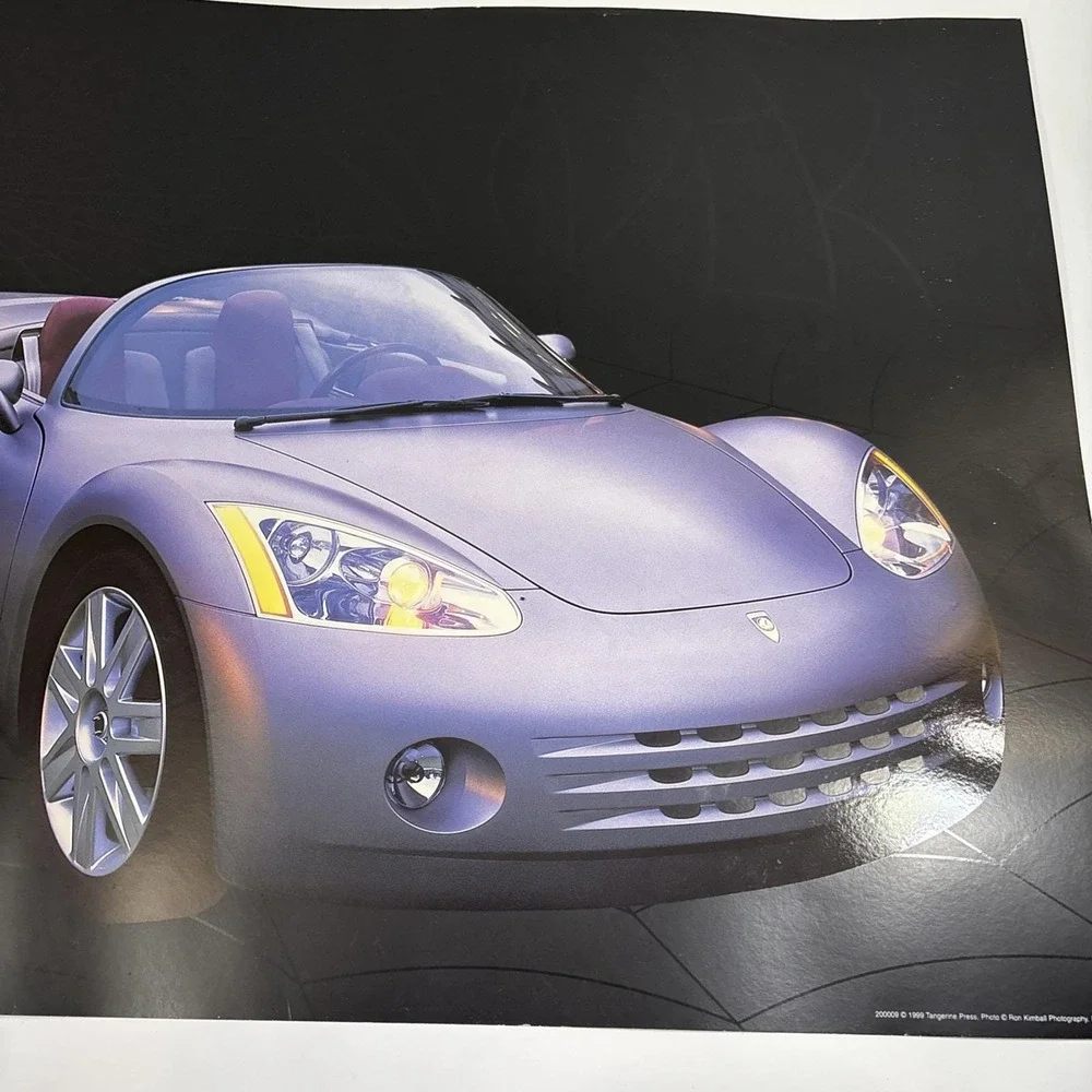 1999 Ron Kimball Spyder Photo Print Poster with Web Background. Rare 24x18